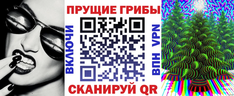 мега tor  Заозёрск  Псилоцибиновые грибы мицелий 