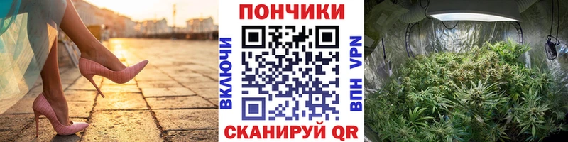 купить наркотик  Заозёрск  Канабис план 